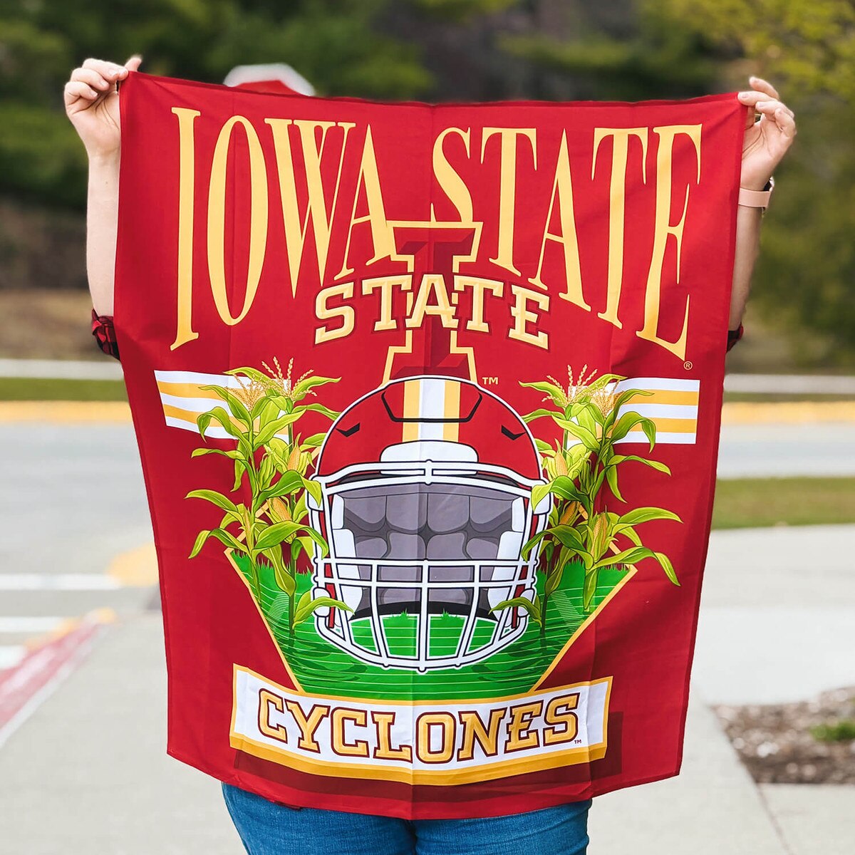 I-State Helmet Corn Wall Hanging